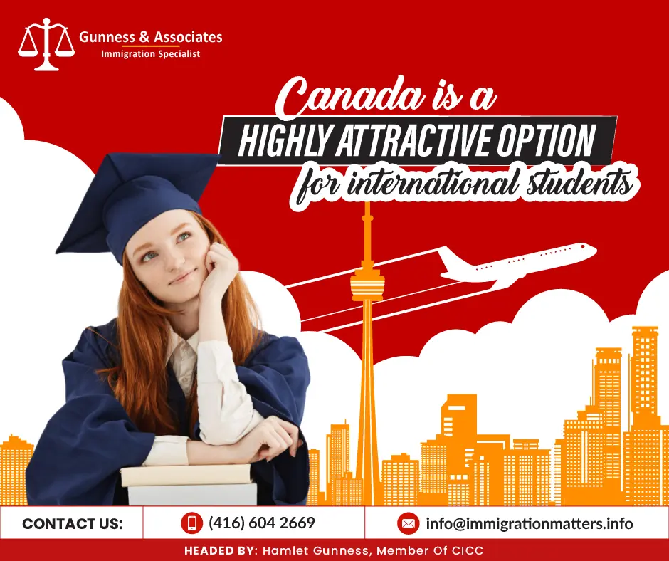 option for international students