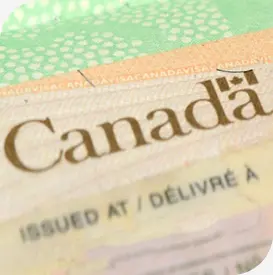 close-up of a passport